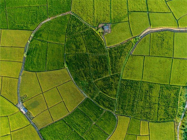 Agriculture